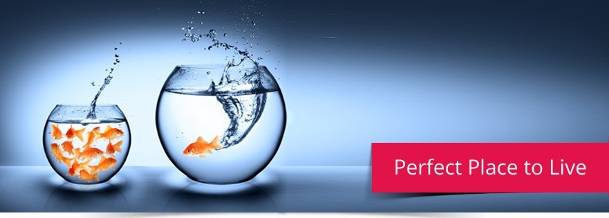 banner-perfect-place